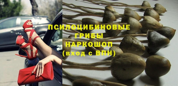 ПСИЛОЦИБИНОВЫЕ ГРИБЫ Майский